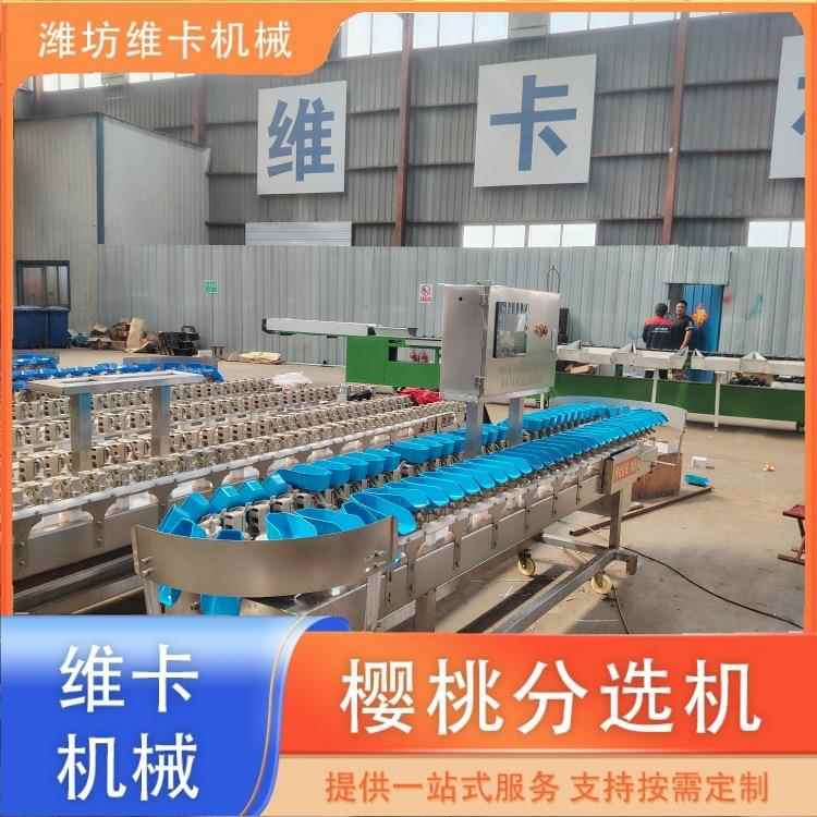 厂家供直扇贝动称重分选机自扇贝分选机转盘重量分级机