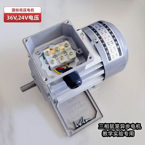 JW6314 36V 24v 电压 三相鼠笼式异步电机 教学电机