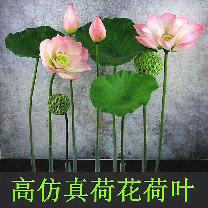 pu带杆彷真荷花花苞假荷叶水池装饰造景落地塑料客厅新款彷真花
