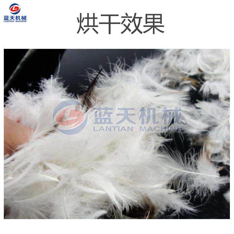 大型鹅毛烘干机 空气能热泵羽毛鸡毛烘干箱 鸭绒烘干设备智能控温