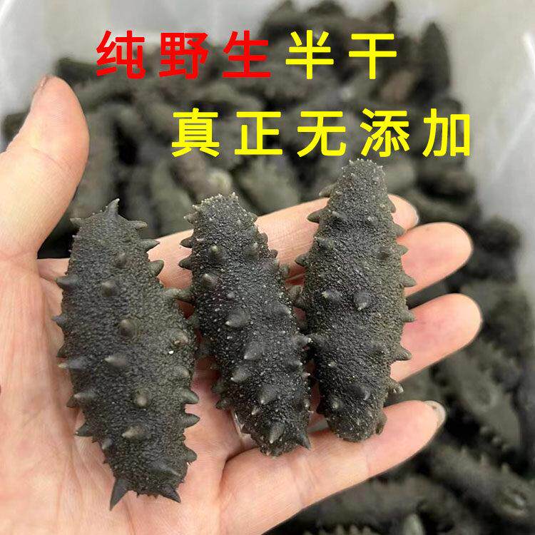 半干 干野生拉缸盐海参500g长岛非纯淡干底播即食礼盒大连辽刺参