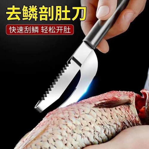 Stainless Steel Fish Scaler, Fish Scale Scraper, Descaling T