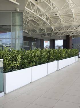 不锈区钢箱户外园林景观花池公QYZ园花街绿化种植玻璃钢盆大花号