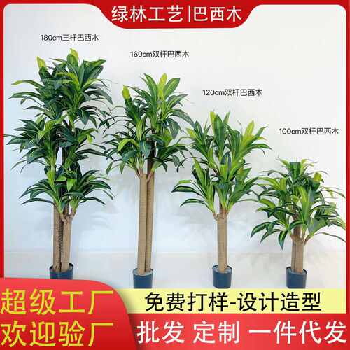 北欧风仿真绿植巴西木盆栽仿生假绿植客厅服装店网红落地植物装饰
