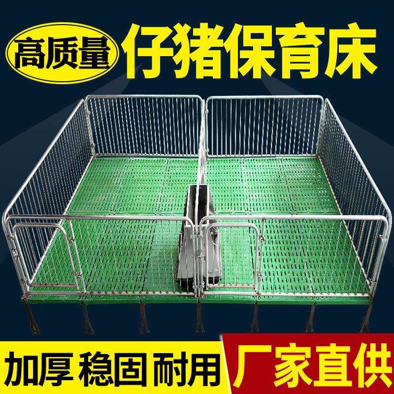 热镀锌保育栏小猪保育床全复合双体仔猪保育床猪用保育床