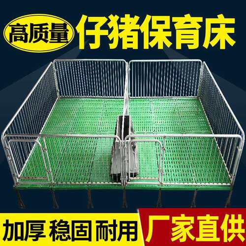 热镀锌保育栏小猪保育床全复合双体仔猪保育床猪用保育床