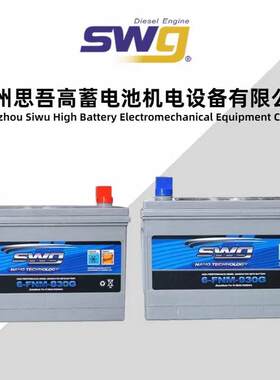 蓄电池思吾高柴油发电机组启动电瓶6-FNM930G830G720G670G550G450