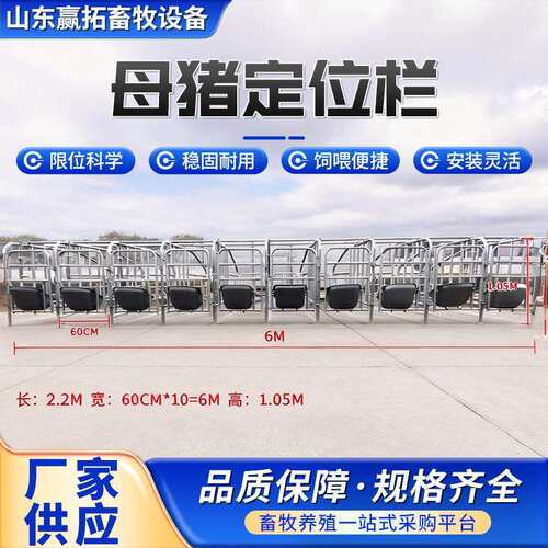 现货落地式限位栏母猪定位栏畜牧养殖热镀锌钢管落地式定位栏