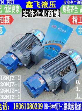 BB-B16NJZ-1 B20NJZ B25NJZ B32NJZ内轴式摆线齿轮油泵电机组装置
