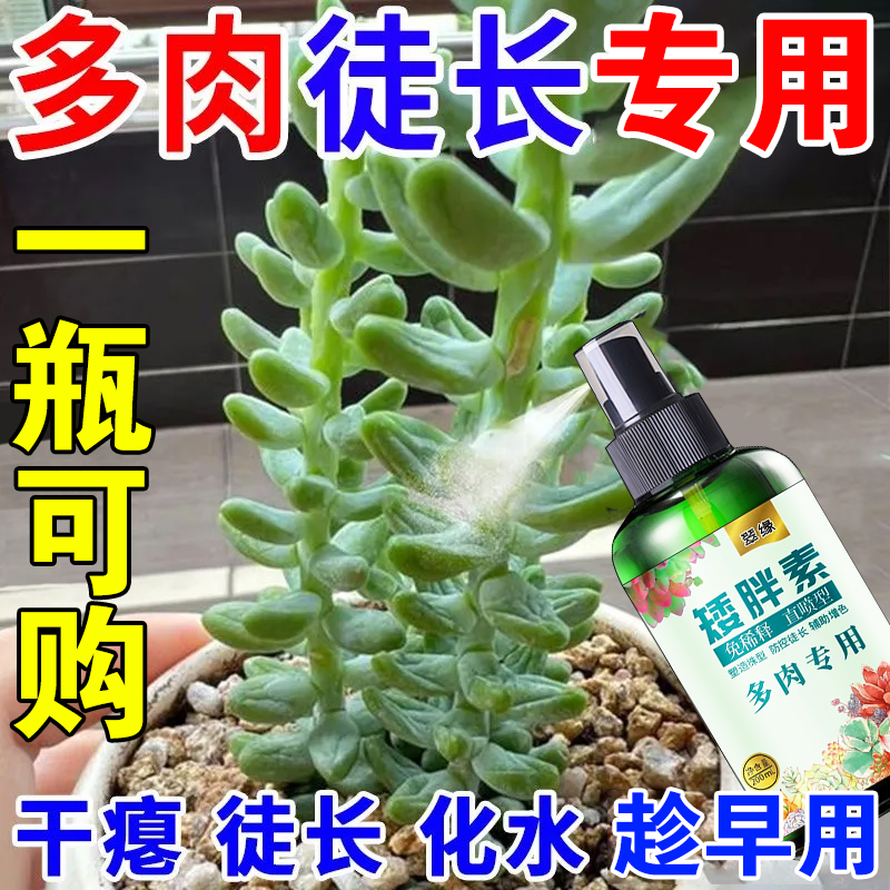 多肉专用矮胖素防徒长优芽素上色增色促生长催芽爆芽素多肉营养液
