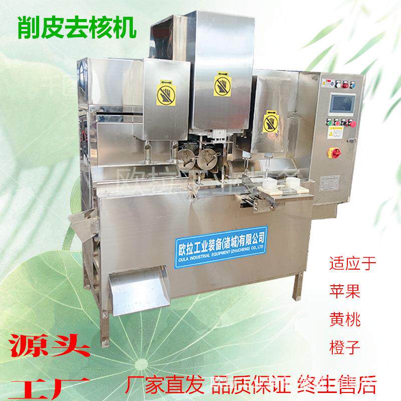 橙子削皮设备 全自动去核加工生产线 商用带核水果去皮去核机