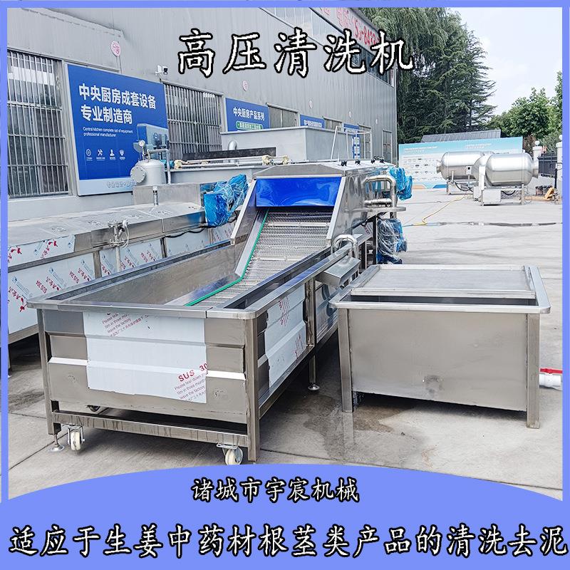 全自动高压喷淋药材清洗机鲜姜去泥清洗设备商用人参当归清洗设备