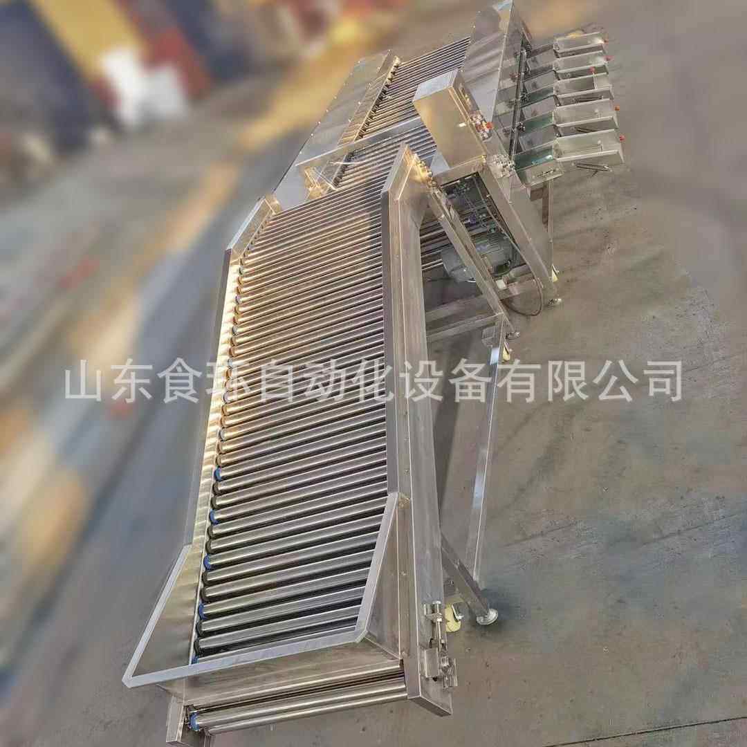 彩椒杏洋葱不锈钢分级机 大樱桃萝卜小分级挑JPL选设 备鲍菇分级
