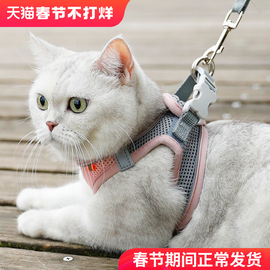 猫咪牵引绳防挣脱溜猫绳春夏外出专用背心式胸背带狗狗小型犬用品