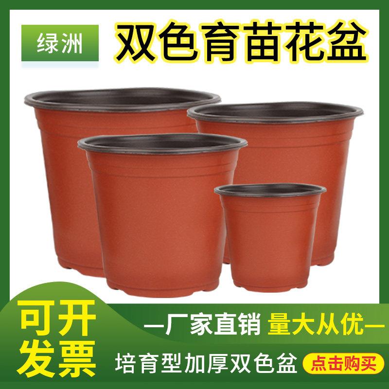双色盆育苗盆营养钵育苗杯营养杯塑料一次性花盆加厚多肉