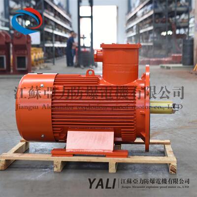 DYB-110 B35矿用电机掘进机泵电机定制EBZ三相异步电动机防爆电机