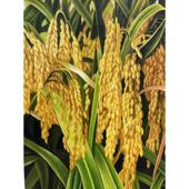 纯手绘油画丰收麦穗竖版 饰画壁画 挂画阳光风景客厅玄关静物写实装