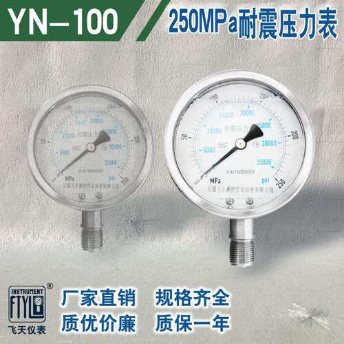 无锡飞天仪表FTYLB厂家直销YN100/250MPa超高压耐震压力表液压
