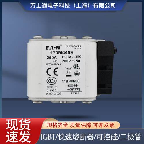 170M4458 170M4459 170M4460 170M4461 170M4462 170M4463熔断器