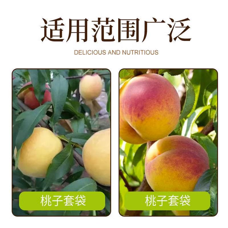 桃子水果水果纸袋果树柑橘果袋图片