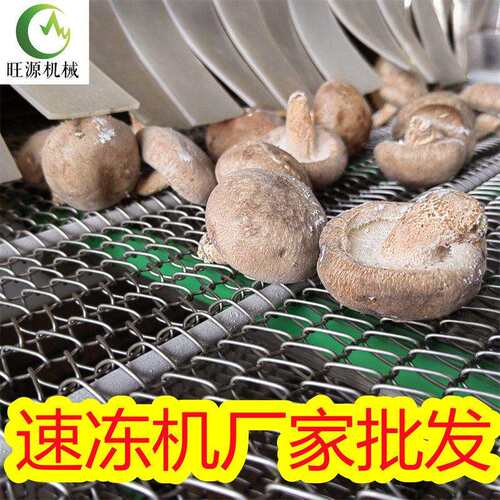 旺源隧道式速冻机 黄桃流态化冷冻线水饺冷冻加工生产设备