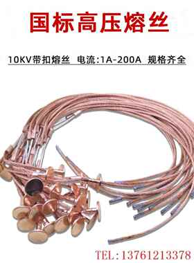 国家标准10Kv高压熔丝1A3A5A10A15A20A25A30A40A50A-200A t型扣式