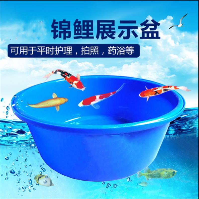 锦鲤蓝盆渔场周转暂养大型展会比赛塑料盆移动鱼池测量盆尺寸盆