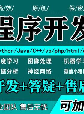 计算机项目设计python代编java程序代做c++代码web系统开发yolov8