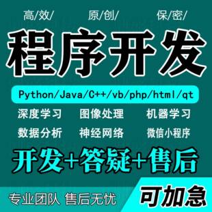 计算机项目设计python代编java程序代做c++代码web系统开发yolov8
