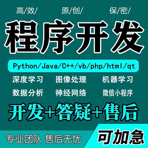 计算机项目设计python代编java程序代做c++代码web系统开发yolov8