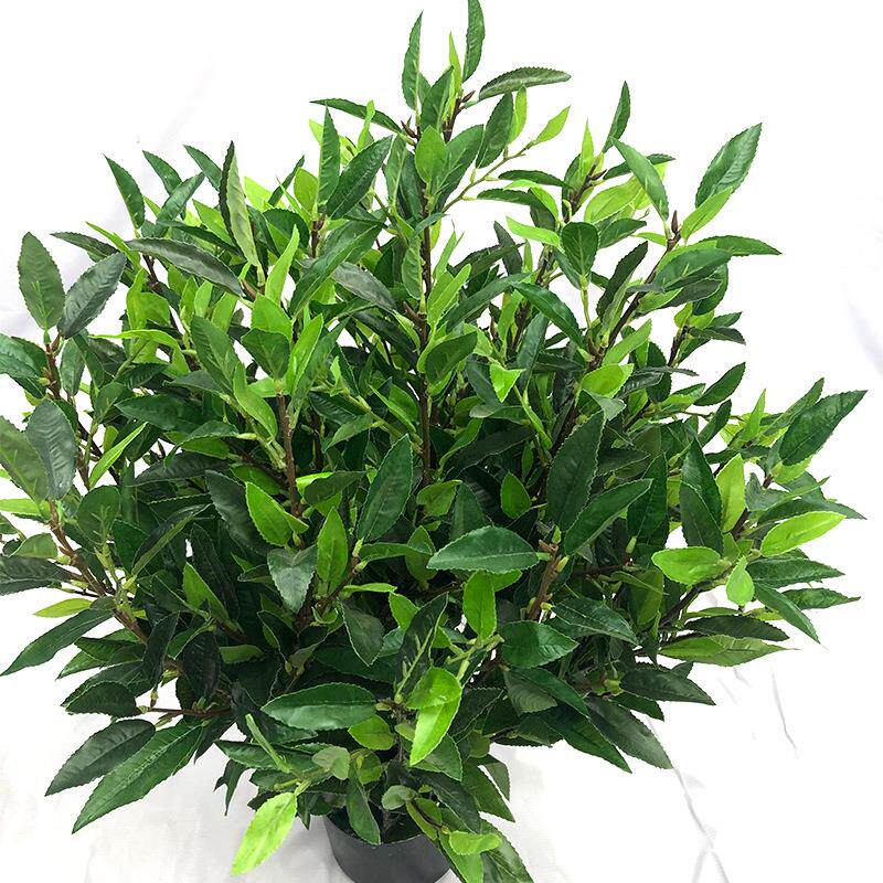 仿真绿植盆栽毛尖茶树落地盆景室内外植物茶叶工程装饰厂家