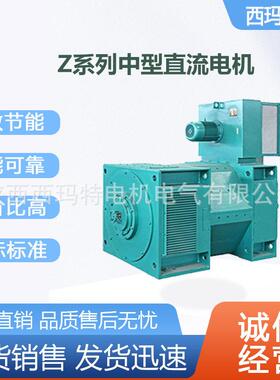 西安 泰富西玛电机Z710-1U鼓风机IC06空水冷却ICW37A86直流电动机