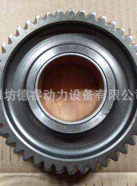 潍坊WD615WP10发动机柴油机配件61560050053中间齿轮