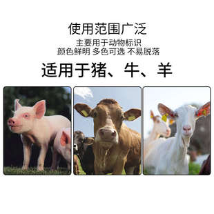 耳标号牌 养殖场猪耳标牌牛羊用无字耳标号牌记号笔牛耳朵标签