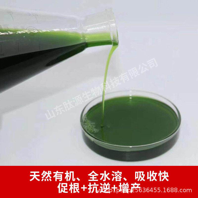 海藻液有机水溶原料1吨装天然浓缩植物叶面农用冲施滴灌