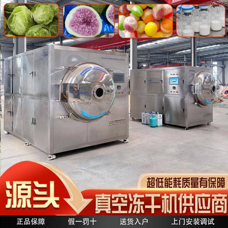 实验型宠物冻干机食品低温冷冻干燥机高效稳定冻干机械设备生产线
