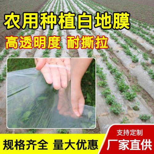 农用白色地膜耐用厚保温保湿大棚小拱塑料薄膜蔬菜白地膜种菜专用