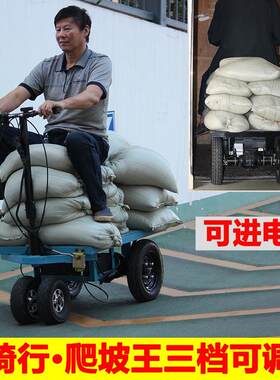 100*60工业电动平板车三轮搬运车倒骑驴手推车进电梯装修拉水泥车