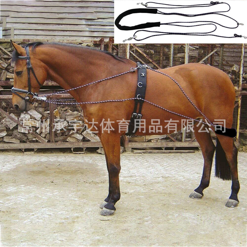 【索马 练马】调教平衡aid用品后腿lunging调教训匹