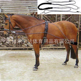 Aid Lunging 平衡调教索马匹调教用品训练马后腿