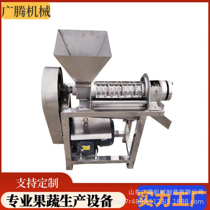 胡萝卜榨汁机工业大型生姜薄荷打汁机不锈钢沙棘果榨汁设备