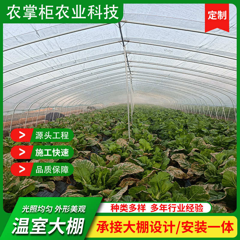 农业种植草莓蔬菜大棚  红美人农业温室大棚建设 蔬菜温室大棚