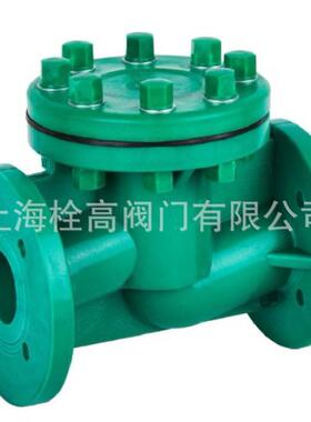 耐腐蚀塑料升降式止回阀FRPP升降式止回阀H41F-10S升降式止回阀