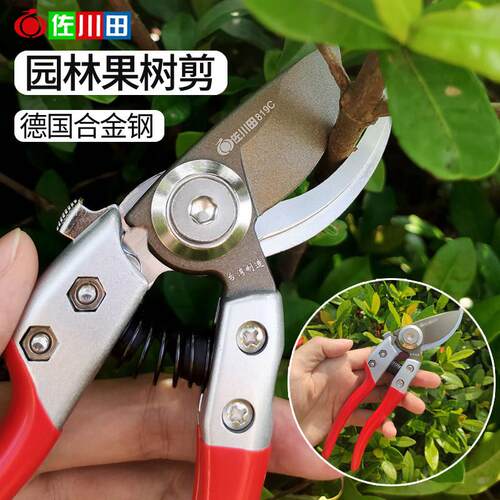 佐川田819C果树修树枝剪剪果枝剪园艺修花剪园林省力修剪粗枝剪刀