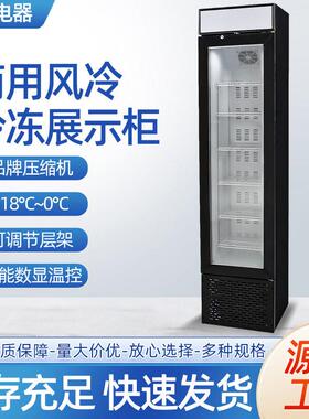 跨境立式冷冻柜商用出口低温展示柜慕斯冰淇淋小型家用冰箱冰吧