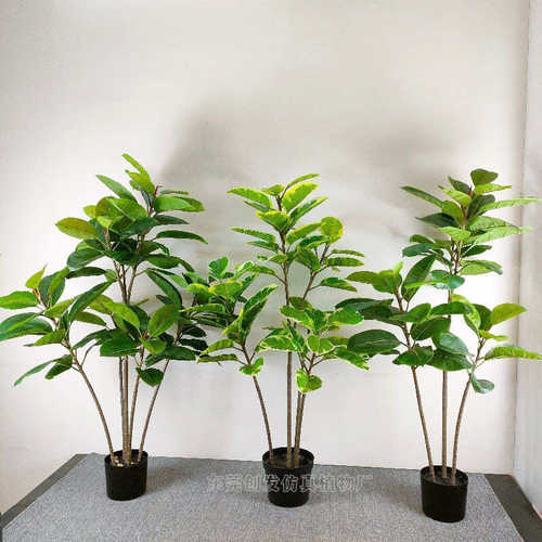 高品质 过胶叶绿植琴叶榕 手感叶小盆栽龟背绿罗 居家摆放橡皮树