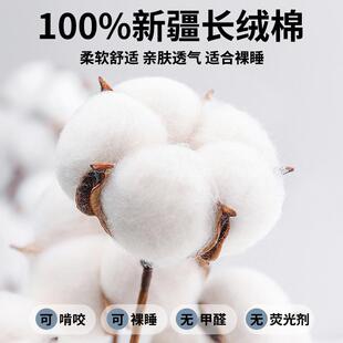 纯棉床笠单件100全棉床罩2025新款 通用防尘床垫套全包保护罩 四季
