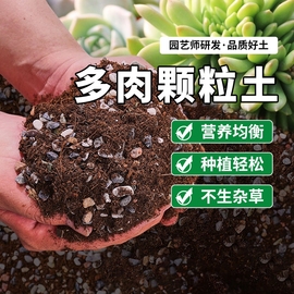 多肉专用颗粒土多肉植物营养土肉肉盆栽铺面石叶插纯颗粒种植土壤