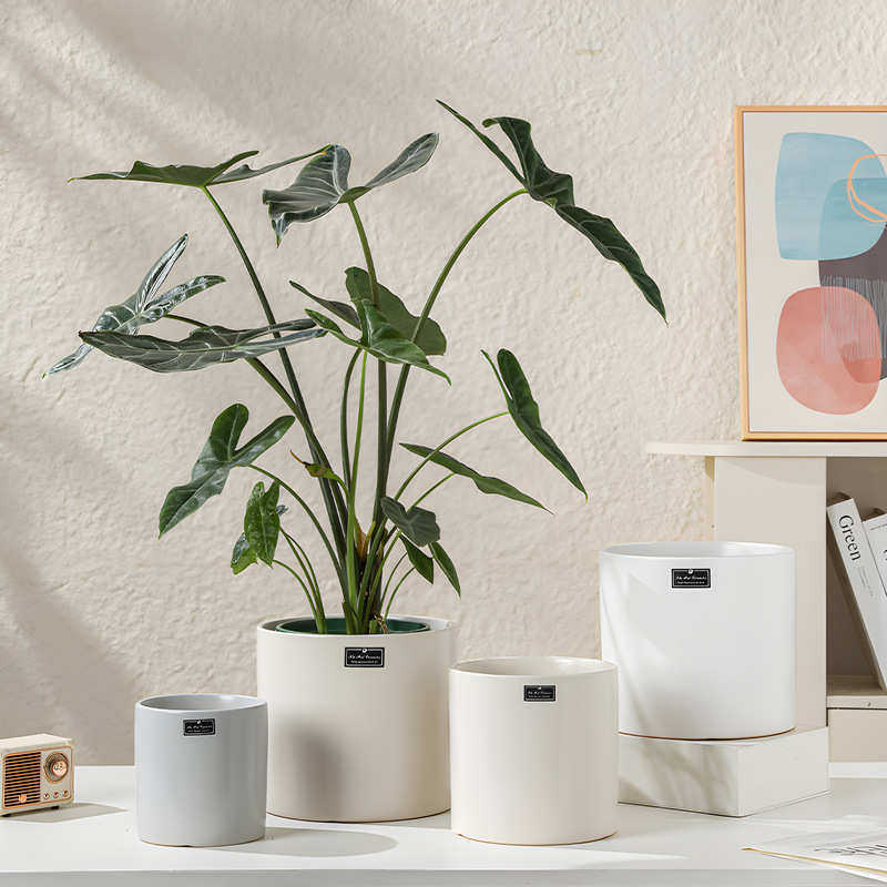 简约纯色直筒陶瓷花盆家用客厅阳台绿植虎皮兰专用花盆轻奢高级感,鲜花速递/花卉仿真/绿植园艺,花盆,淘宝优惠券,粉丝福利购,淘宝优惠卷
