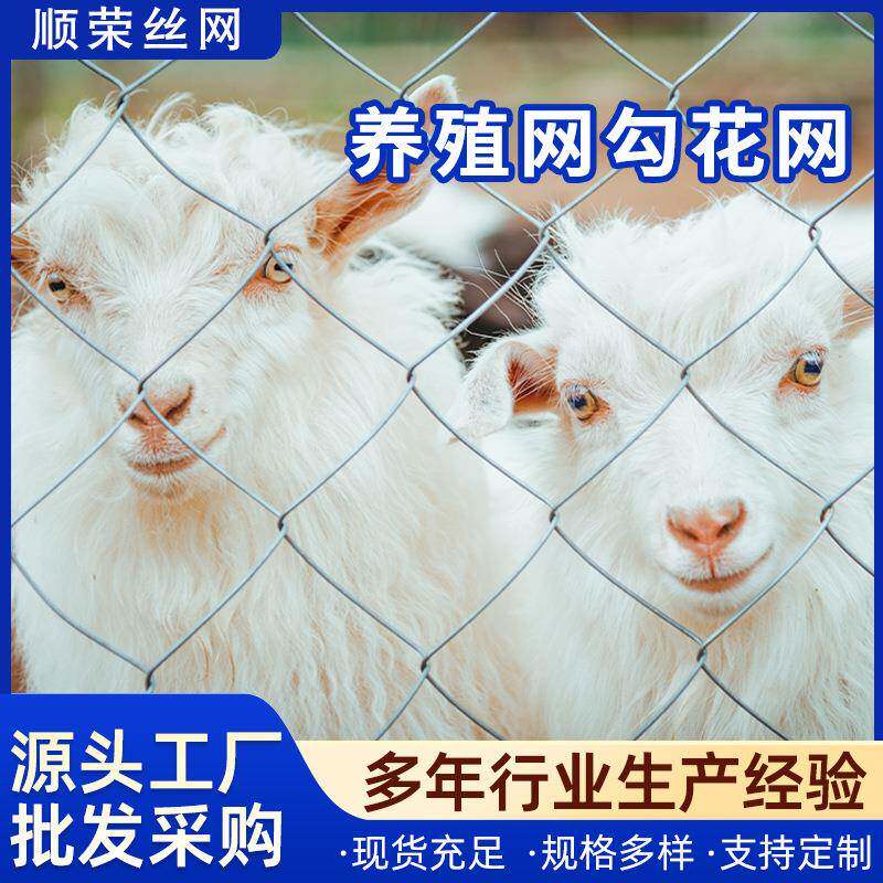 养鸡鸭鹅圈地鱼塘隔离养殖网包塑铁丝网防护方格斜方勾花锚卷网